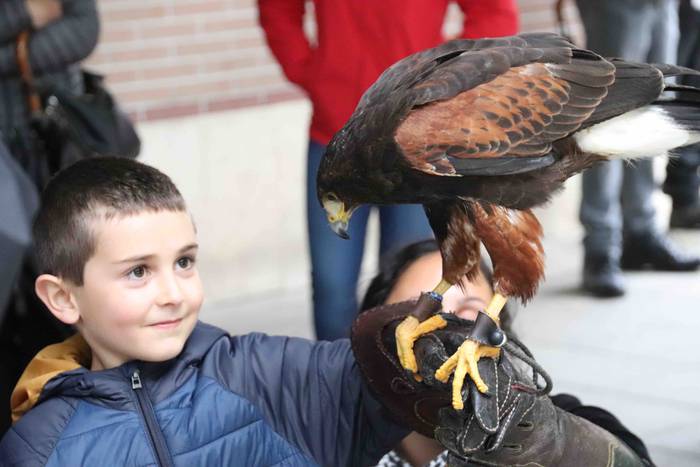 VIII. Udaberriko Azokaz goza 34 1558278841739