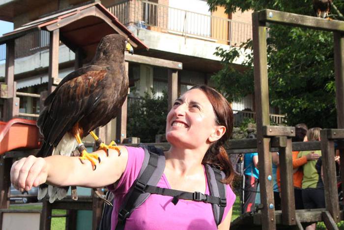 2016 bidea 22 1471775900120