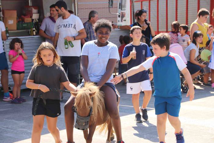 Festak hasteko, poniak eta z 25 1566993983156