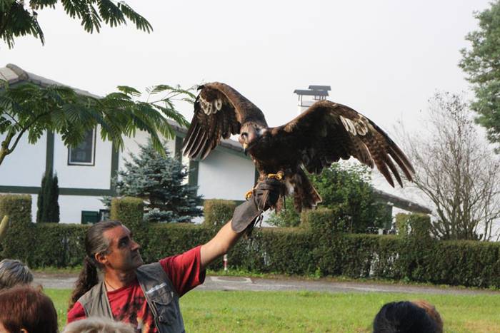 2016 bidea 46 1471776072688