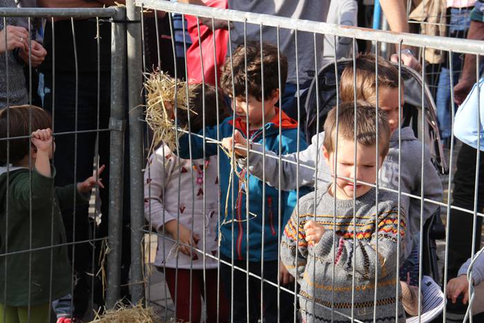 Tolosa Gabonetako Azoka berezia 2015 36 1450532626723