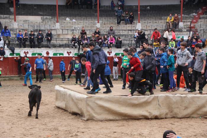 Txaranga eta zezenak piñata  13 1488738796954