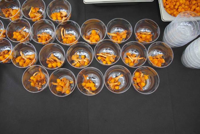 mikologika 2018 azoka pintxo 24 1540038405871