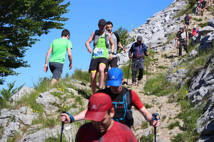 T3T, Hernio 2019 76 1560688443200