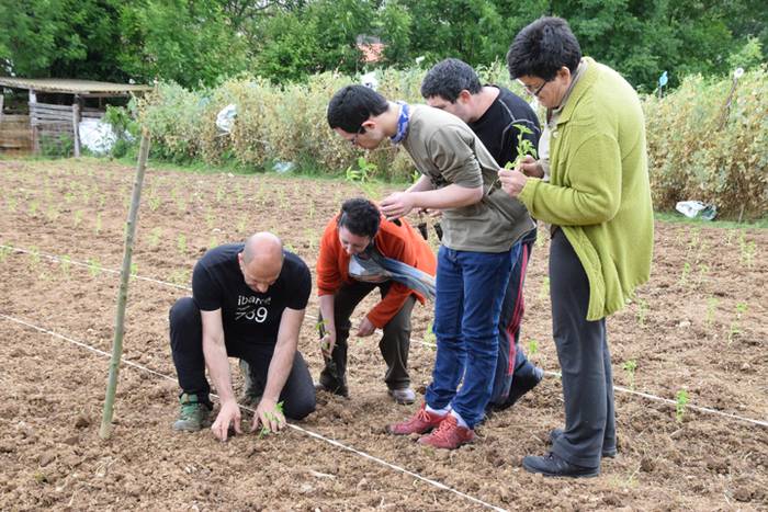 Piper landaketa uzturpe gureak  789 taldea 35 1464793779236