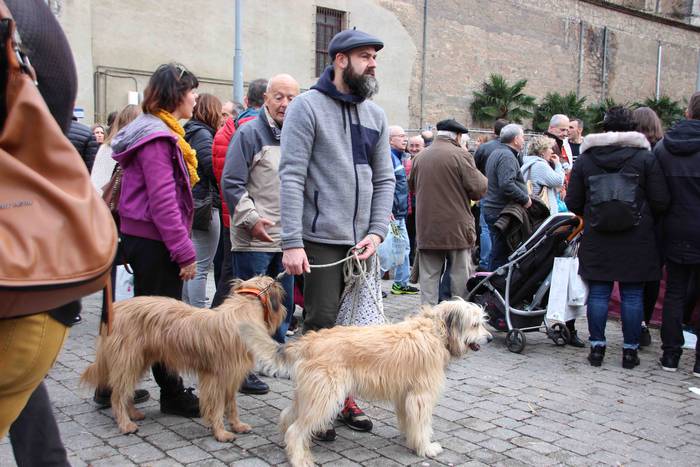 Gabonetako azokak jende asko 10 1576941748056