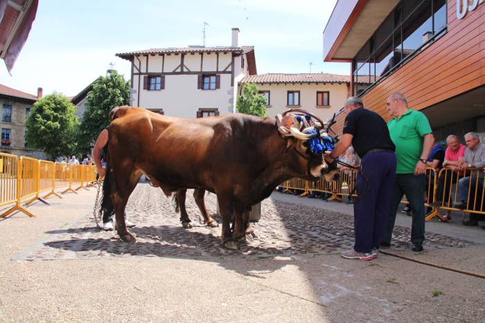 Idi erakustaldia Asteasuko p 5 1494859813220