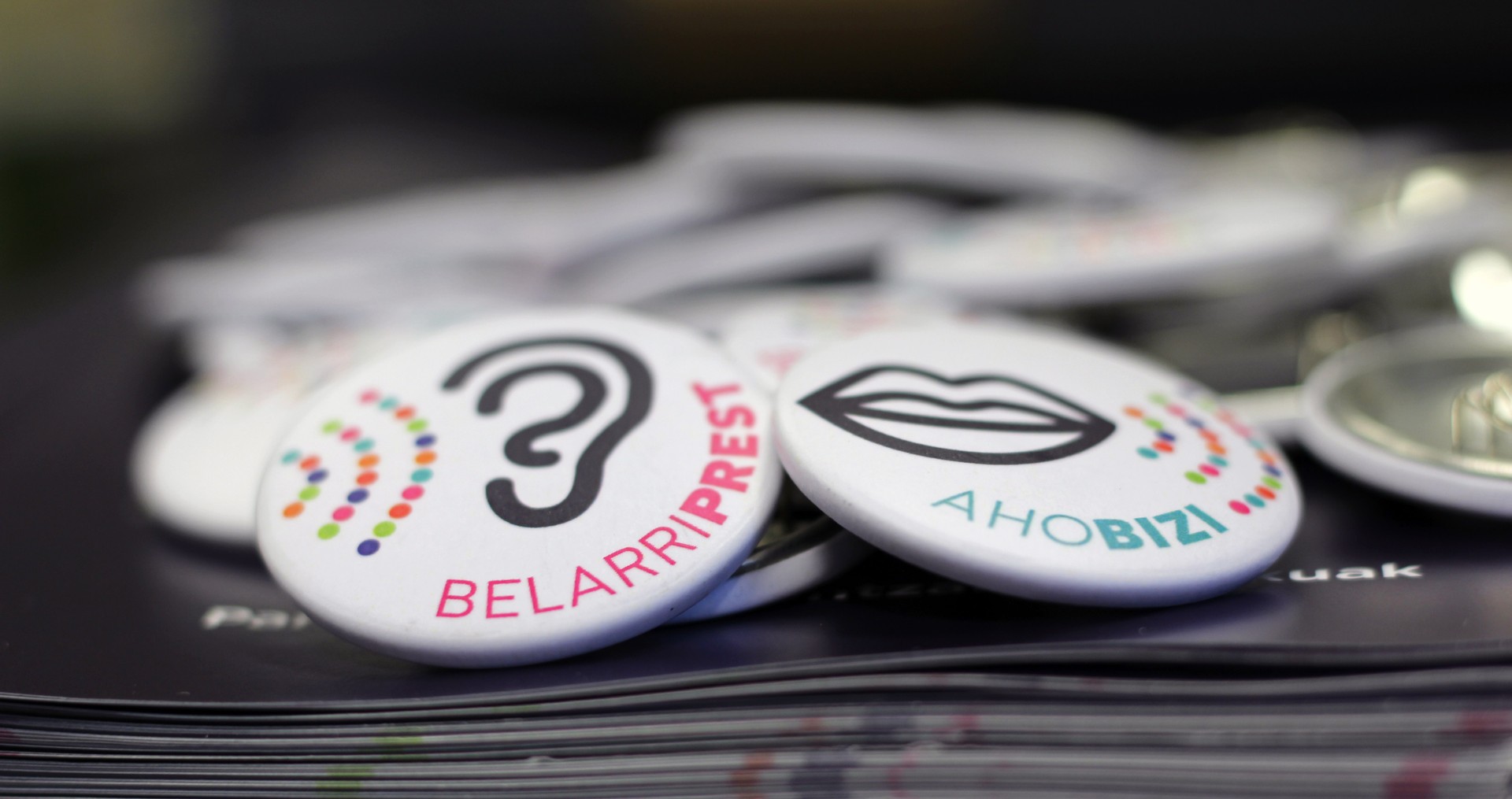Non eta noiz jaso Euskaraldiko txapak Tolosaldean