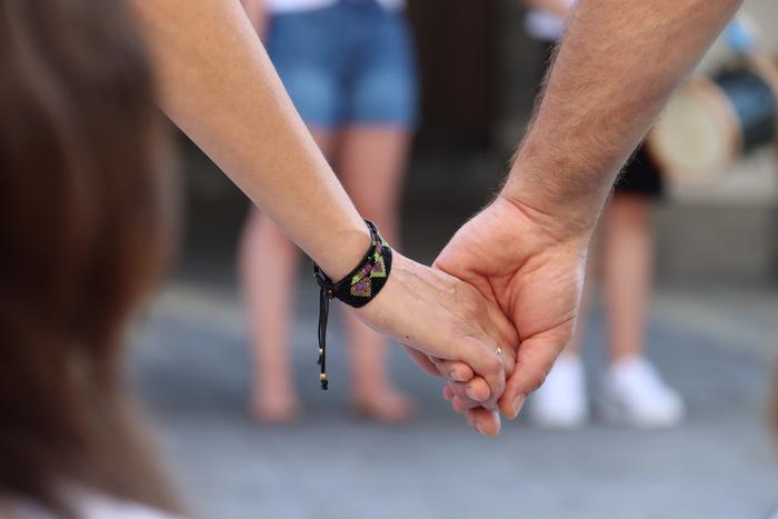 'Ipuskoa' erakunde ekitaldi nagusia uztailaren 5ean ospatuko da Tolosan, soka-dantza bidez