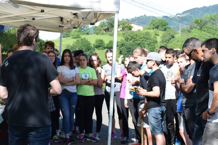 Piper landaketa Ibarran, 201 6 1494844283782