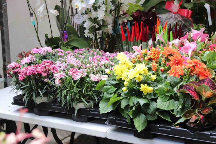 Lore eta Landare Azoka 2019 20 1558171904791