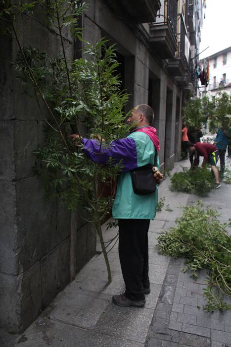 Lizarrez apaindutako kaleeta 4 1498311183745