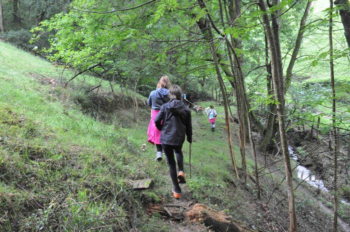 Zizurkilgo hegoaldeko mugarr 14 1621240759777