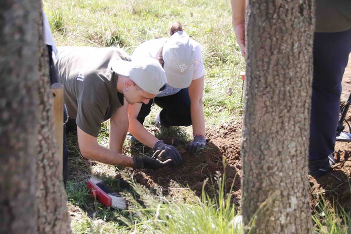 Saseta Defentsa Sistema auzo 14 1658491982535