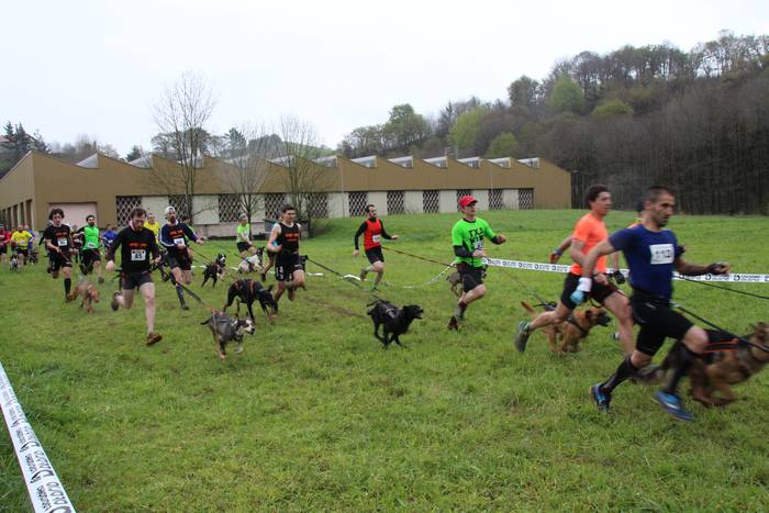 Zizurkilgo I. txakurkrosa 11 1460224016096