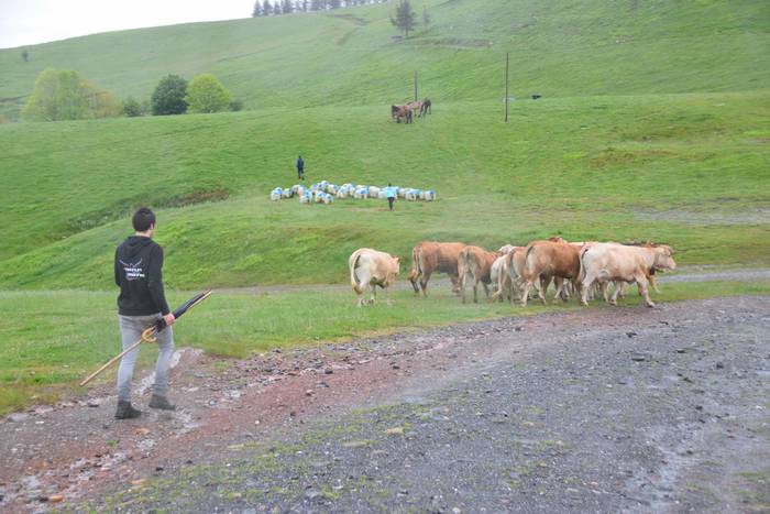 Larre irekiera Berastegi 202 18 1621072177972