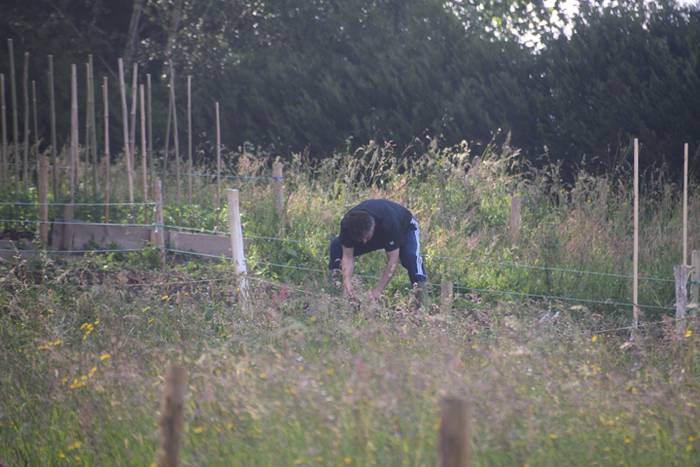 Villabonako Baratze Parkea 4 1494514677214