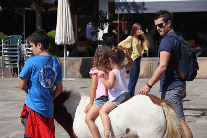 Festak hasteko, poniak eta z 17 1566993976272