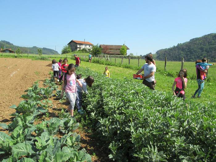 Herriko ekoizle eta kontsumi 10 1525766472383