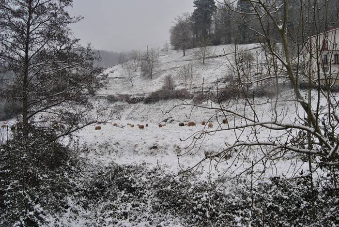 Argazki galeria: Tolosaldea, 18 1519809760167