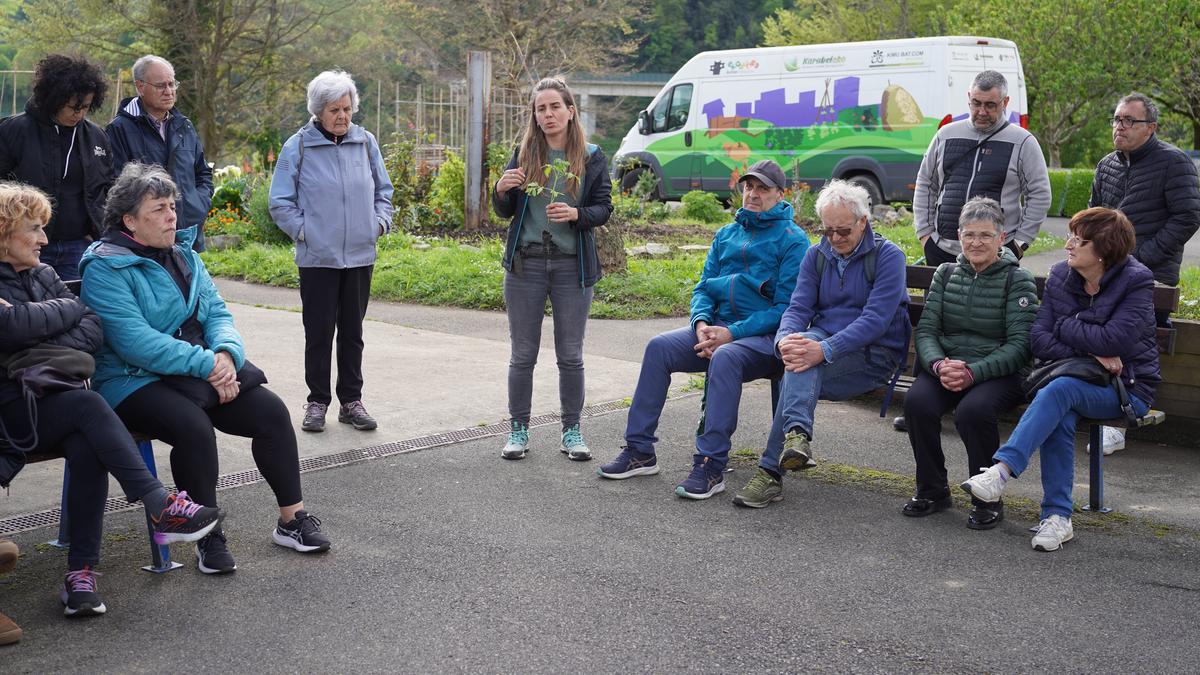 «Baratzeak lantzen hasiberri direnei aholkularitza bat ematea da helburua»
