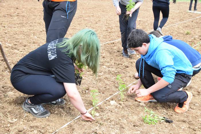 Piper landaketa uzturpe gureak  789 taldea 8 1464793769614