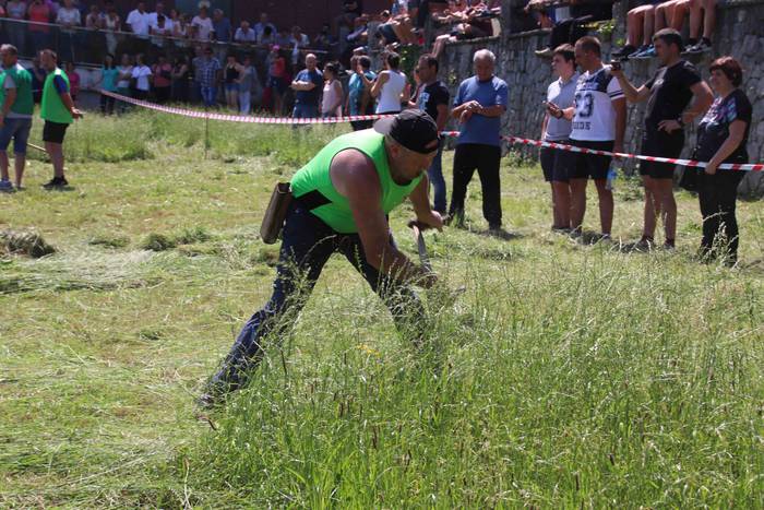 Erabaki dira Euskal Herriko  71 1532870949202