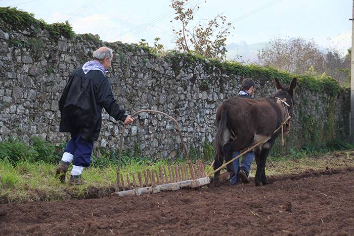 ADUNAKO KULTUR ASTEA 2017. G 8 1511017891589