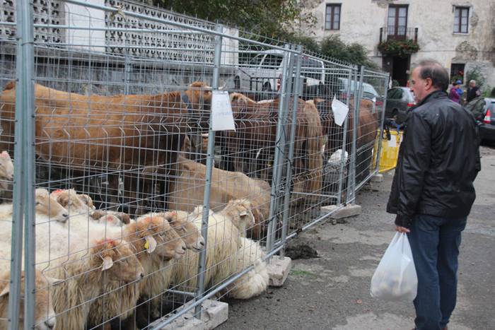 Inork ez du galdu nahi izan 39 1509293782528