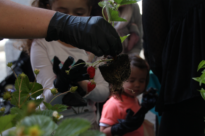 Ukitu, dastau baino lehen 3 1494071524199