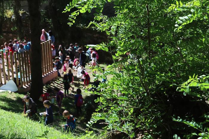 Elosegi parkeko biodibertsit 1 1559225128595