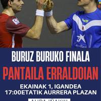 Pantaila erraldoia