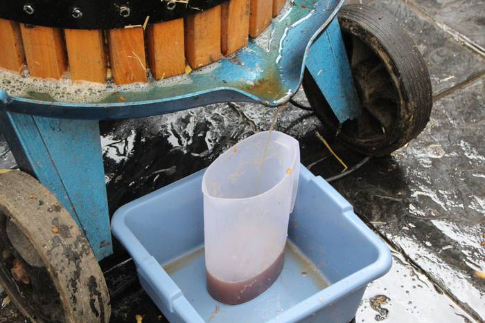 Zuhaitz Azoka Tolosan 2016 18 1456601472131