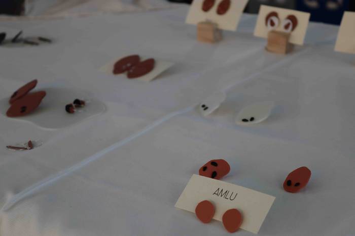 Eguberrietako azoka berezia  18 1608460930342