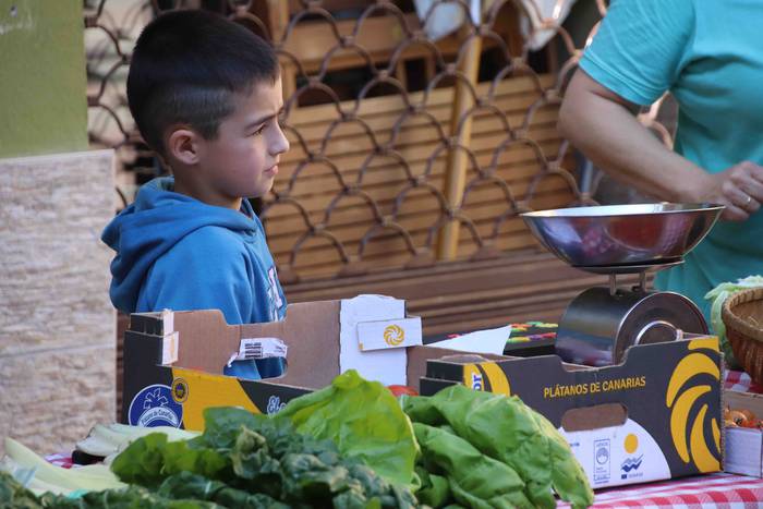 Argazki kamerak eskuan hartu 6 1569759106778