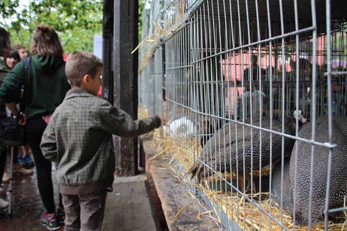 Ibarra, azoka eta piparra 65 1474219109463