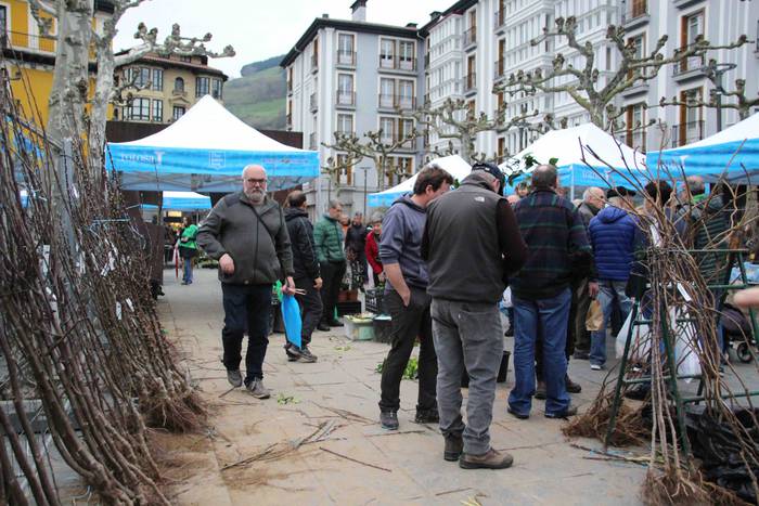 Erein eta zaintzearen magiak 6 1581165925587