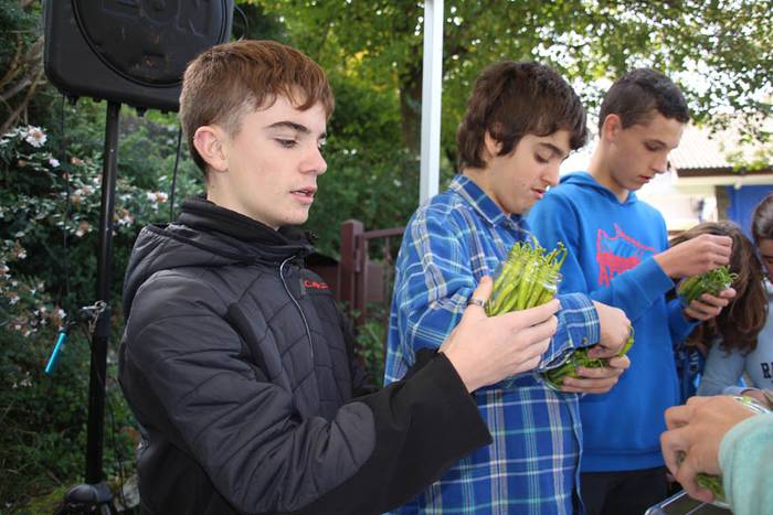 Piperraren zikloa 2015 27 1445442221148