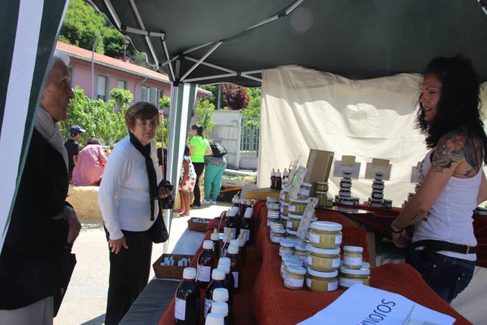 Udaberriko azoka Berrobin 37 1494770600139