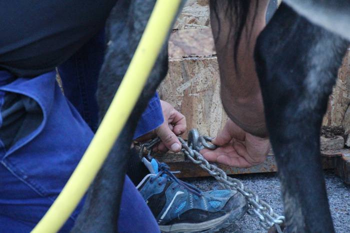 Gazteak nagusi, ximaurra gar 17 1507490476747