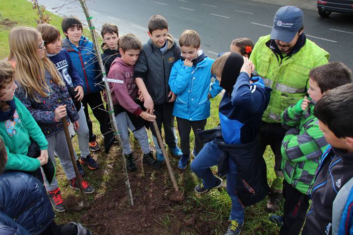 zuhaitz landatzea 2016 tolosa 8 1456503824844