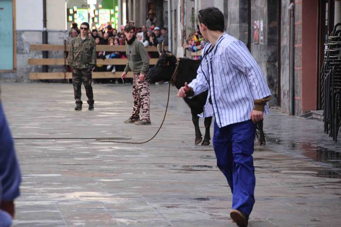 Soka zintzilik eta muturrak  24 1646140695669