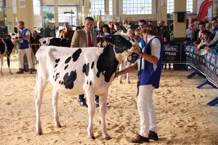 X. Euskal Herriko Frisoi Txa 12 1542479505140