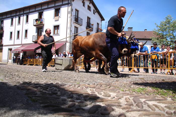 Idi erakustaldia Asteasuko p 17 1494859887711