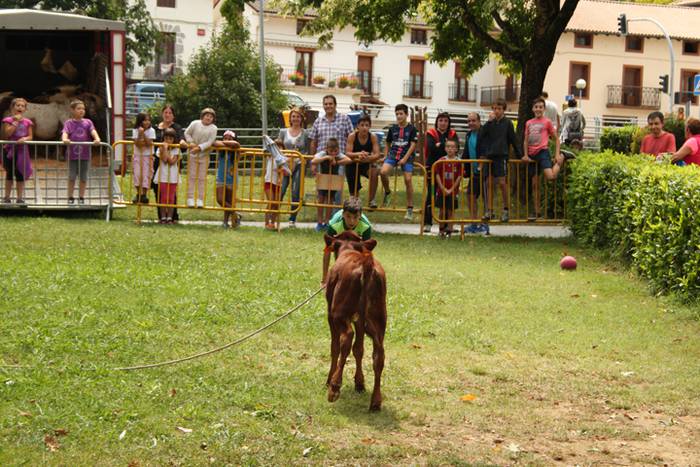 Ikaztegietako Jaiak 2017, um 27 1502457335407