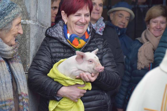 Animaliek jaso dute San Anto 1 1547722487765