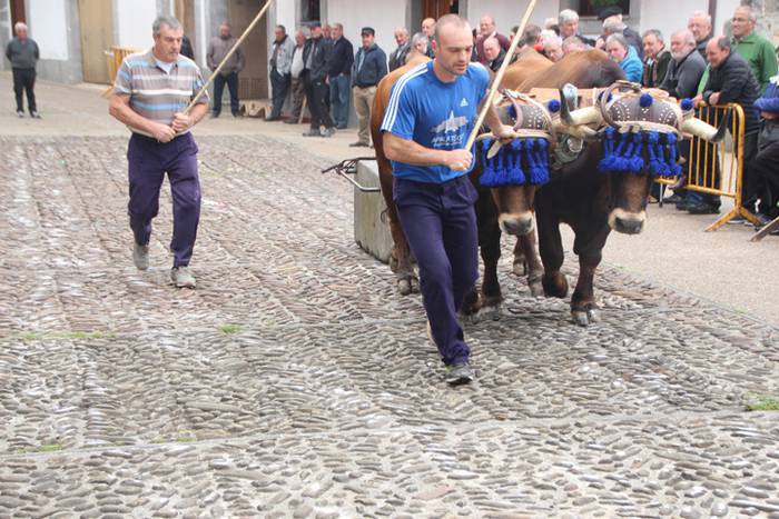 San Isidro Eguna Amasa Astea 11 1526395728918