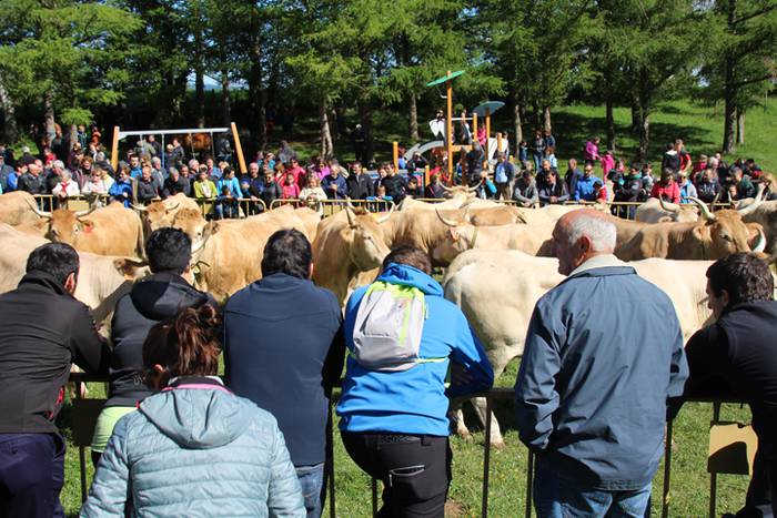 Larre irekiera Larraitzen 20 27 1493639823677