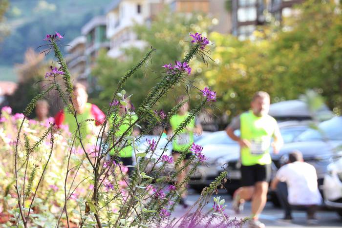 Hego haizeak airean eraman d 61 1539348378419