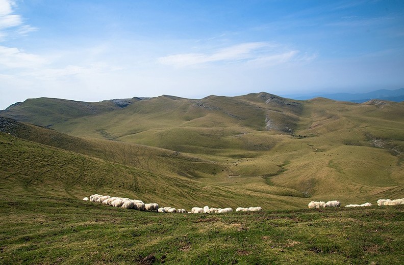 Landa Garapenak MENDIKO GAZTAn forma hartzen duenean